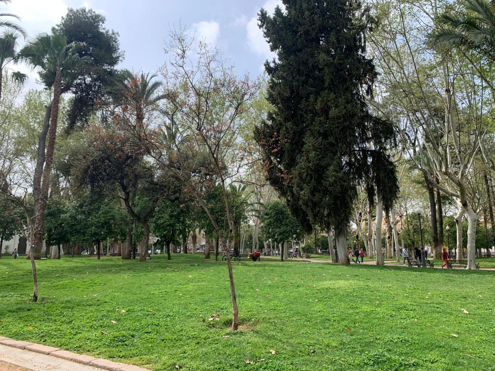 Bonito, Centrico, Fresco Y Tranquilo Apartamento En Santa Marina Cordoba Luaran gambar
